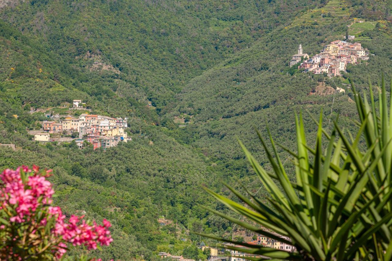 Villa Dell'Erta - Levanto Montale  Ngoại thất bức ảnh