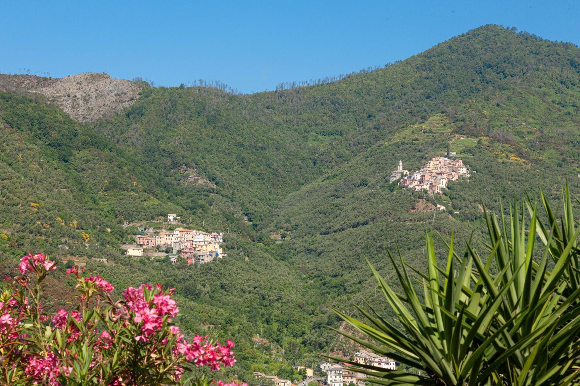 Villa Dell'Erta - Levanto Montale  Ngoại thất bức ảnh